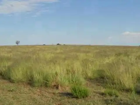 Campo en Venta en Ayacucho, Partido de Ayacucho