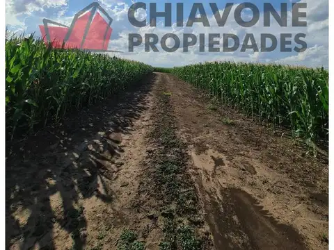 Campo en Venta en General las Heras, Partido de General Las Heras