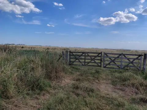 Campo en Venta en Carmen de Areco, Partido de Carmen de Areco
