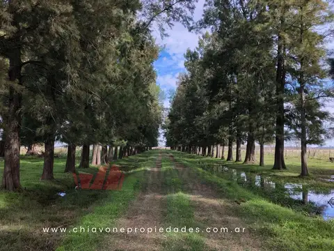 Campo en Venta en General las Heras, Partido de General Las Heras