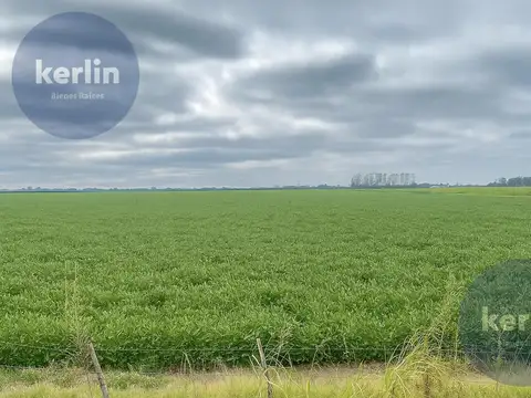 Campo en Venta en San Nicolas de los Arroyos, Partido de San Nicolás