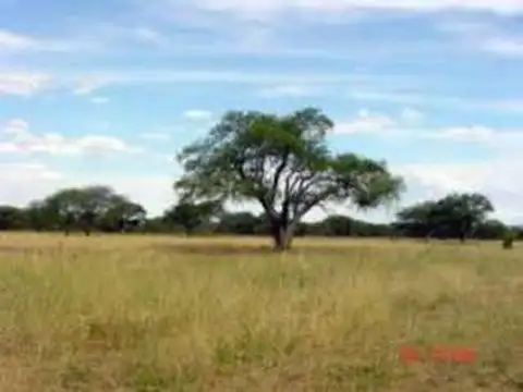 Campo en Venta en General Villegas, Partido de General Villegas
