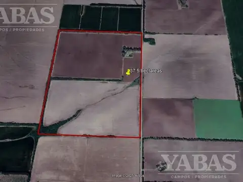 Campo en Venta en San Pedro, Partido de San Pedro