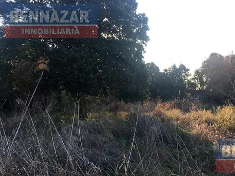 Campo en Venta en Rio Tala, Partido de San Pedro