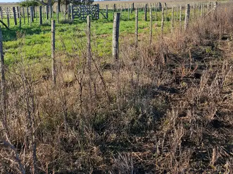 Campo en Venta en General Juan Madariaga, Partido de General Juan Madariaga