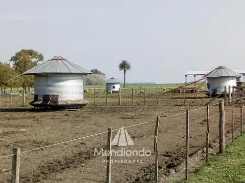 Campo en Venta en Mechongue, Partido de General Alvarado