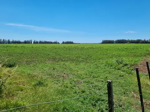 Campo en Venta en Miramar, Partido de General Alvarado