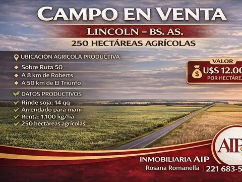 Campo en Venta en Roberts, Partido de Lincoln
