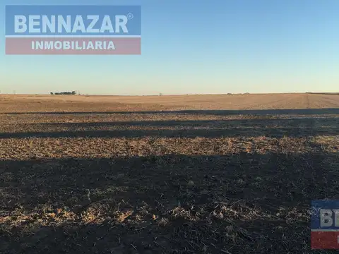 Campo en Venta en Gobernador Castro, Partido de San Pedro