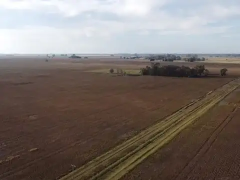Campo en Venta en Carlos Keen, Partido de Luján