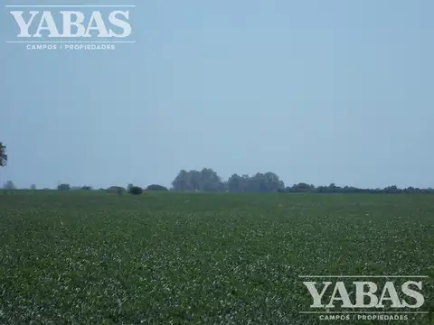 Campo en Venta en San Pedro, Partido de San Pedro