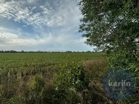 Campo en Venta en San Nicolas de los Arroyos, Partido de San Nicolás