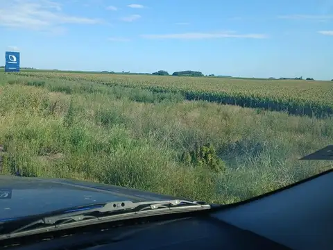 Campo en Venta en Fontezuela, Partido de Pergamino