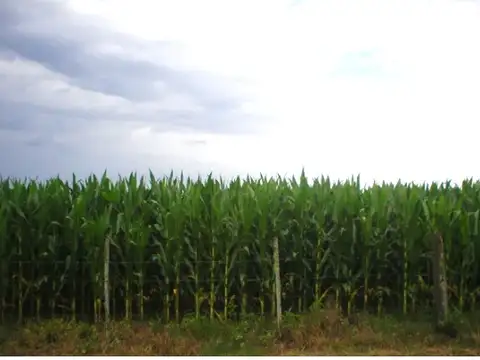 Campo en Venta en Baradero, Partido de Baradero