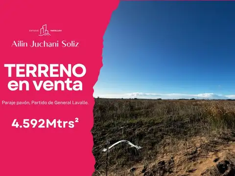 Campo en Venta en General Lavalle, Partido de General Lavalle