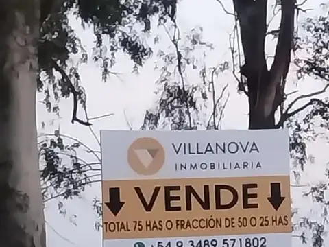Campo en Venta en Exaltación de la Cruz, Partido de Exaltación de la Cruz