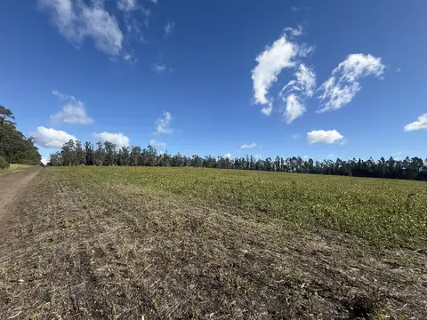 Campo en Venta en Barrio Batan, Partido de General Pueyrredón