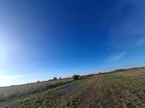 Campo en Venta en Pearson, Partido de Colón