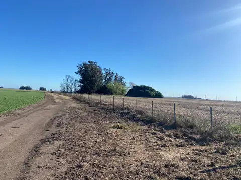 Campo en Venta en La Ballenera, Partido de General Alvarado
