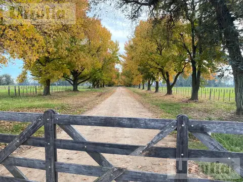Campo en Venta en Jauregui Jose Maria, Partido de Luján
