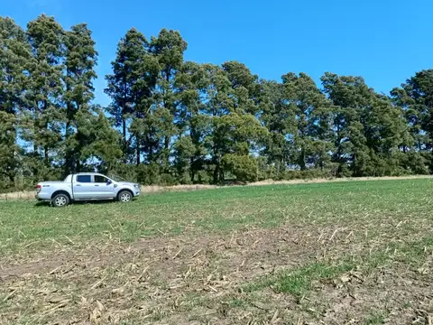 Campo en Venta en Baradero, Partido de Baradero