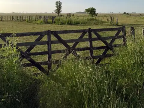 Campo en Venta en San Antonio de Areco, Partido de San Antonio de Areco