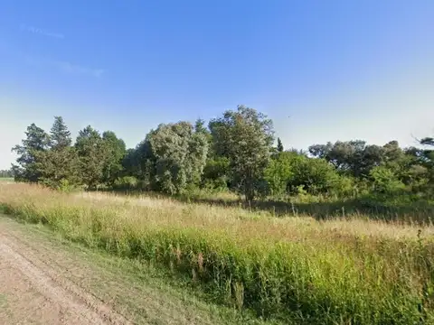 Campo en Venta en Chivilcoy, Partido de Chivilcoy