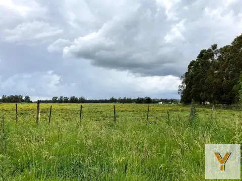 Campo en Venta en Mechongue, Partido de General Alvarado