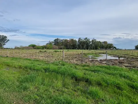 Campo en Venta en La Noria, Partido de Cañuelas