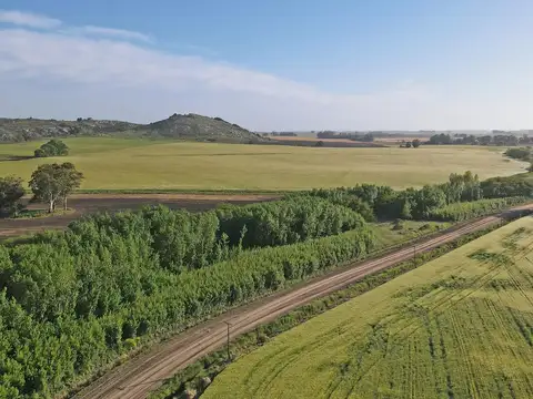 Campo en Venta en Balcarce, Partido de Balcarce