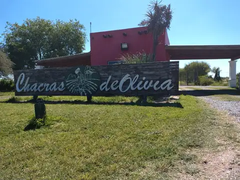 Campo en Venta en Chacras De Olivia, Lima