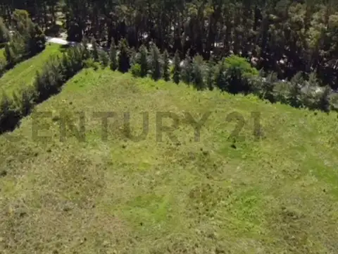 Campo en Venta en Veronica, Partido de Punta Indio