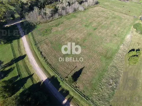 Campo en Venta en Estancia Benquerencia Farm Club, Countries y Barrios Cerrados en San Miguel del Monte