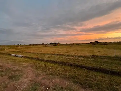 Campo en Venta en Zarate, Partido de Zárate