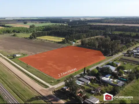 Campo en Venta en Gobernador Castro, Partido de San Pedro