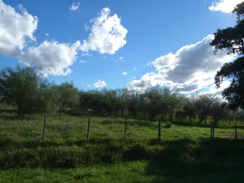 Campo en Venta en Cañuelas, Partido de Cañuelas