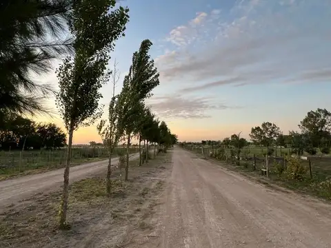 Campo en Venta en Lobos, Partido de Lobos