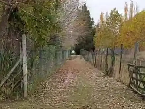 Campo en Venta en Berisso, Partido de Berisso