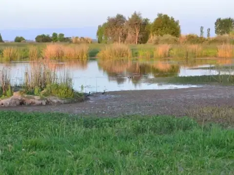 Campo en Venta en Lobos, Partido de Lobos