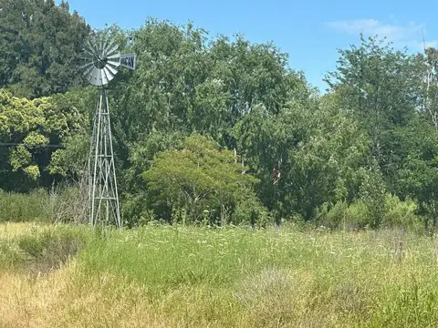 Campo en Venta en Mercedes, Partido de Mercedes