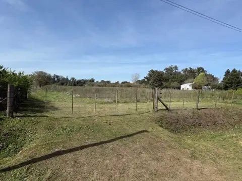 Campo en Venta en General Belgrano, Partido de General Belgrano