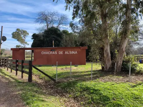 Campo en Venta en Alsina, Partido de Baradero