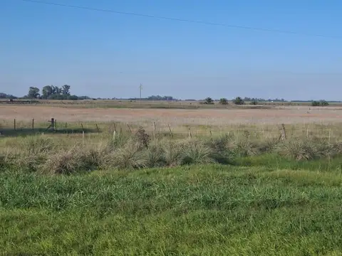 Campo en Venta en Suipacha, Partido de Suipacha