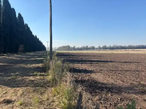 Campo en Venta en San Pedro, Partido de San Pedro