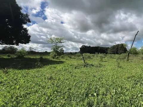 Campo en Venta en Mercedes, Partido de Mercedes