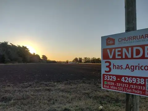 Campo en Venta en Gobernador Castro, Partido de San Pedro