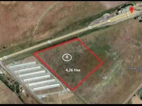Campo en Venta en Uribelarrea, Partido de Cañuelas