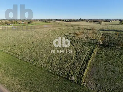 Campo en Venta en Estancia Benquerencia Farm Club, Countries y Barrios Cerrados en San Miguel del Monte