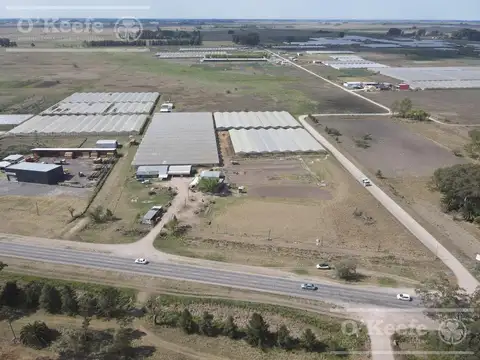 Campo en Venta en Abasto, Partido de La Plata