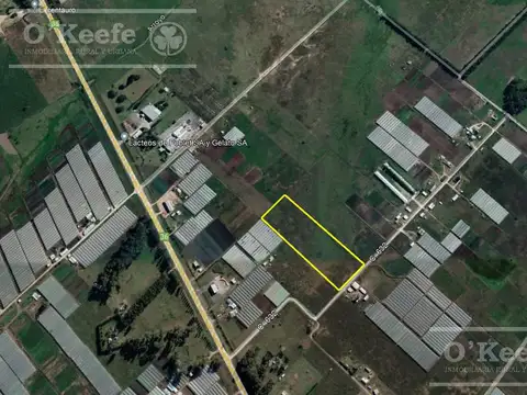 Campo en Venta en Abasto, Partido de La Plata